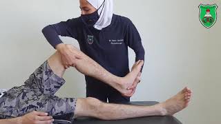 ROM Combined Hip and Knee Flexion and Extension [upl. by Snahc]