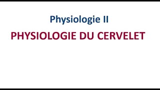 Neurophysiologie  Physiologie du Cervelet FMPC [upl. by Oech]