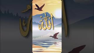 Allah gojollike comment subscribe [upl. by Dragoon]