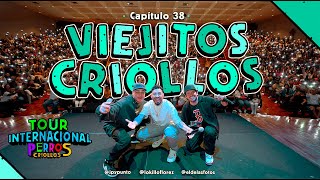 PERROS CRIOLLOS  VIEJITOS CRIOLLOS CAP 38 [upl. by Birdie495]