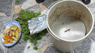 Harvesting vegetablescomposting bokashi organic fertilizer from vegetable roots [upl. by Rivi]