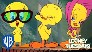 Looney Tuesdays  Tweety an Icon for Everyone  Looney Tunes  WB Kids [upl. by Mcfadden]