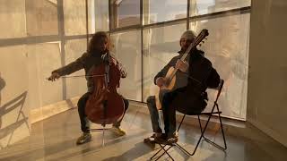 Standchen  F Schubert guitar and cello [upl. by Cahilly242]