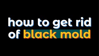 how to get rid of black mold [upl. by Eliathas273]