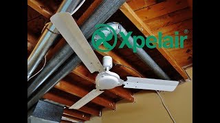 1996 Xpelair Whispair 120 cm Ceiling Fan [upl. by Nnayd]