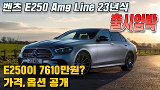 출시임박 2023 벤츠 E250 amg line 가격옵션제원 총정리 E220dE350E450 연식변경 미리 준비하세요 [upl. by Venice271]