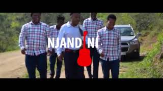 Njandini  Not Guilty Official music video [upl. by Hearsh264]