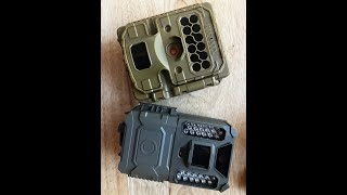 Reconyx Hyperfire 2 vs Bushnell 24MP Core Prime Low Glow [upl. by Nuhsed]