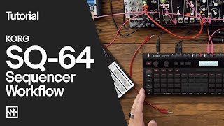 Tutorial Korg SQ64 Sequencer Workflow amp Demo [upl. by Klecka]