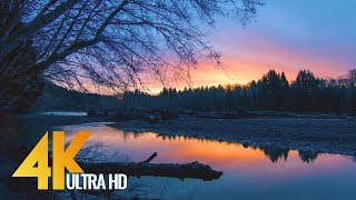 Sunrise at Hoh River  4K Nature Relax Video  1 HR for Relaxation Destress and Restoration [upl. by Aylad359]