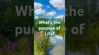 Purpose of Life islamicshorts [upl. by Berwick]