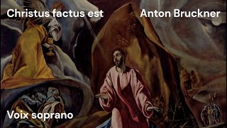 Bruckner  Christus factus est  soprano [upl. by Rettig]