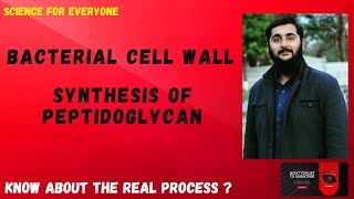 Biosynthesis of Peptidoglycan  Detailed amp Conceptional Explanation  Clear Images [upl. by Nnylarak302]