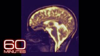 Endless Memory Mind Reading Mindfulness  60 Minutes Full Episodes [upl. by Sacram]