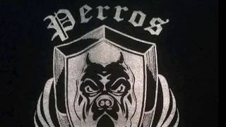 Perros Callejeros 462  Stunt callejero  Irapuato 2017 [upl. by Koehler]