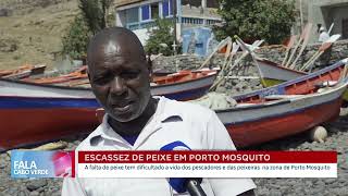 Escassez de peixe em Porto Mosquito tem dificultado a vida dos pescadores e peixeiras  Fala CV [upl. by Rosemary747]