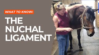 What you Need to Know About the Nuchal Ligament [upl. by Leina]