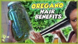 Oregano – The BEST DISINFECTANT for your HAIR  Science and Recipe [upl. by Nisaj]