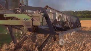 How Combine Harvesters Revolutionize Farming [upl. by Cirle]