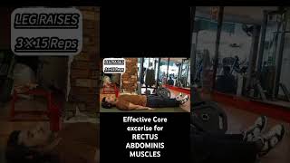 2 Exercise for RECTUS ABDOMINIS fitness viralvideo youtubeshorts [upl. by Leahey93]