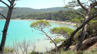 Ile de Porquerolles  ProvenceAlpesCôte dAzur  France [upl. by Claire617]