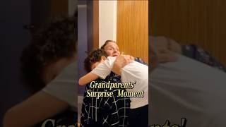 Grandparents Surprise Moment grandpa surprise moment emotional [upl. by Einavoj]