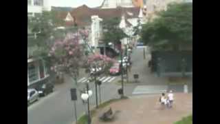 Marcha à ré no carro e causa acidente na Rua XV de Novembro em Blumenau [upl. by Emelun810]