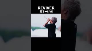 REVIVER 原キー LIVE myfirststory マイファス reviver [upl. by Ffoeg]