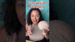 Cerebelo quais funções [upl. by Niret]