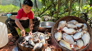 Yummy jackfruit cook with river fish  Jackfruit recipe  Chef Seyhak [upl. by Chatwin]