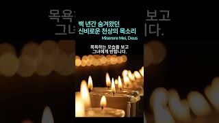 가톨릭 성가 주여 저를 불쌍히 여기소서  Miserere mei Deus 미제레레  Allegri [upl. by Garrot]