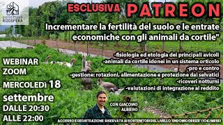 Incrementare la fertilità del suolo e le entrate con gli animali da cortile  Estratto FOCUS PATRONS [upl. by Garner]