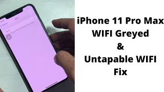 iPhone 11 Pro Max wifi greyed out Fix 2021 [upl. by Rimhsak997]