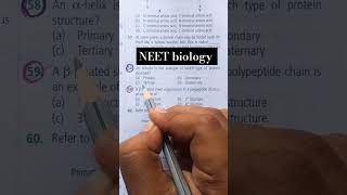 NEET biology 🧨🧨alpha helix structure of protein youtubeshort neet [upl. by Aerdnod]