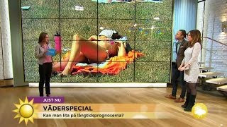 quotSå varm blir sommaren 2015quot  Nyhetsmorgon TV4 [upl. by Kate]