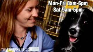 Norwalk Animal Hospital And Dental Clinic [upl. by Annayad104]