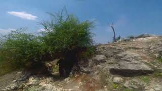 Rock Hill MTB Downhill [upl. by Evvie]