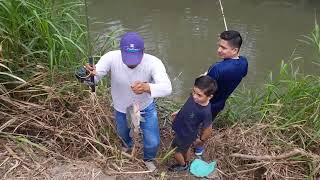 PESCA DE TILAPIAS GRANDES EN ECUADOR [upl. by Sharl]