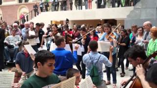 130626 Rijksmuseum Flashmob [upl. by Toback]