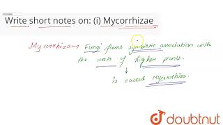 What are baculoviruses  Give one example  CLASS 12  MICROBES IN HUMAN WELFARE  BIOLOGY  Dou [upl. by Alenas]