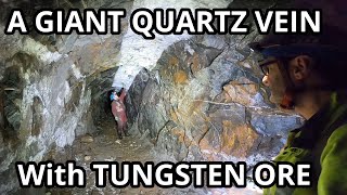 EXPLORING AN ABANDONED MINE WITH RARE METALS TUNGSTEN MINE Part 1 [upl. by Ahsaei547]