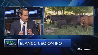 Elanco CEO on IPO animal health focus [upl. by Betty]