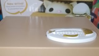 Lets PLAY CUTE CAT 😺 inside the orange 🍊 coin box day3 satisfying asmr live [upl. by Teemus300]