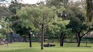 DESDE EL PARQUE CUSCATLAN HACIA EL CENTRO HISTORICO DE SAN SALVADOR [upl. by Neelyhtak885]