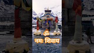 Beautiful snowy view of kedarnath bholenath heaven devbhoomi himalaya travel trending shorts [upl. by Eelyk193]