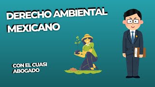 Conoce el DERECHO AMBIENTAL [upl. by Nawiat503]