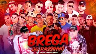 TOP BREGA FUNK 2019  SELEÇÃO BREGAS DO PASSINHO [upl. by Irneh]