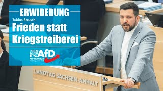 Tobias Rausch Frieden statt Kriegstreiberei [upl. by Cybill827]