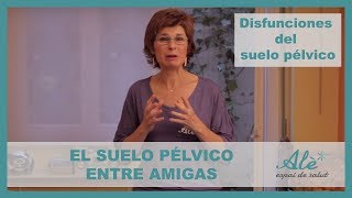 2 DISFUNCIONES DEL SUELO PELVICO [upl. by Atalanta]