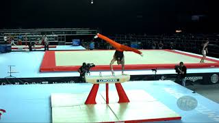 DEURLOO Bart NED  2017 Artistic Worlds Montréal CAN  Qualifications Pommel Horse [upl. by Aihsemak]